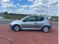 PEUGEOT 206 2002/7 - 6
