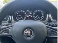 SKODA RAPID 2017/8 - 9
