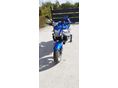 SUZUKI SV 650 N 2004/9 - 2