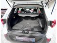 RENAULT KADJAR 2017/5 - 12