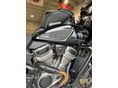 HARLEY-DAVIDSON PAN AMERICA SPECIAL 2023/11 - 7
