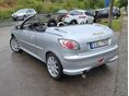 PEUGEOT 206 2004/3 - 4