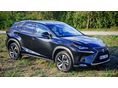 LEXUS NX 2019/11 - 3
