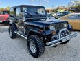 JEEP WRANGLER 1993 - 3