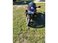 SUZUKI GSX-R 750 2000/8 - 3