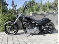 HARLEY-DAVIDSON BREAKOUT 2015/3 - 4