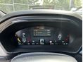 FORD FOCUS 2026/1 - 6