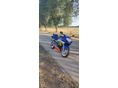 SUZUKI GSX-R 600 2003/1 - 4
