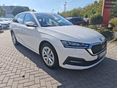 SKODA OCTAVIA 2021/8 - 2