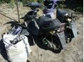 SUZUKI SEPIA 2010/1 - 3