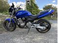 HONDA CB 600 F (HORNET) 2000/6 - 3