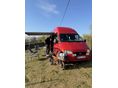 FORD 2000/3 - 6