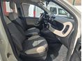 FIAT PANDA 2016/8 - 7