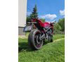 HONDA CBR 650 R 2023/12 - 5