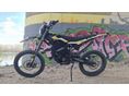 SUR-RON ULTRA BEE 2024/5 - 2