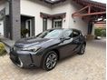 LEXUS UX 2024/10 - 2