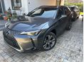 LEXUS UX 2024/10 - 13