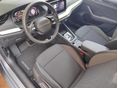 SKODA OCTAVIA 2026/4 - 4