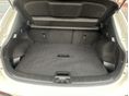 NISSAN QASHQAI 2017/12 - 10