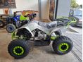 XMOTOS EGYÉB 2026/9 - 5