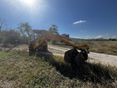 JCB 1995/12 - 2
