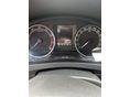 SKODA RAPID 2019 - 11