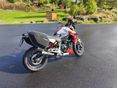 BMW F 900 R 2020/9 - 2