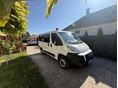 FIAT DUCATO 2009/10 - 2