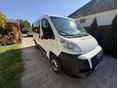 FIAT DUCATO 2009/10 - 5