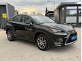 LEXUS NX 2020/9 - 2