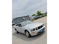 FORD MUSTANG 2005/4 - 3