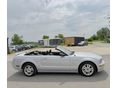 FORD MUSTANG 2005/4 - 4