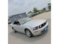 FORD MUSTANG 2005/4 - 10