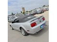 FORD MUSTANG 2005/4 - 12