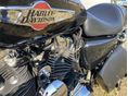 HARLEY-DAVIDSON SPORTSTER 1200 CUSTOM 2015/4 - 6