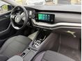 SKODA OCTAVIA 2022/1 - 8