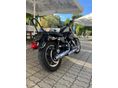 HARLEY-DAVIDSON SPORTSTER 883 2004/11 - 6