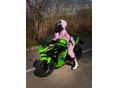KAWASAKI NINJA 500 2024 - 8