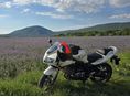 SUZUKI SV 650 S 2008/5 - 1