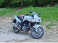 SUZUKI SV 650 S 2008/5 - 5