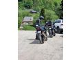 SUZUKI GSF 1200 S (BANDIT) 2004/9 - 8