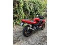 HONDA CBR 600 FS 2002/5 - 2