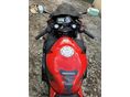 HONDA CBR 600 FS 2002/5 - 4