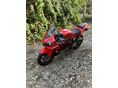 HONDA CBR 600 FS 2002/5 - 5