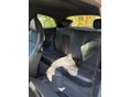 AUDI A1 2011/4 - 8