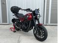 BENELLI LEONCINO 500 2019/3 - 1