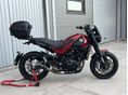 BENELLI LEONCINO 500 2019/3 - 2