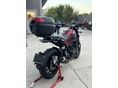 BENELLI LEONCINO 500 2019/3 - 4