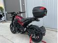 BENELLI LEONCINO 500 2019/3 - 15