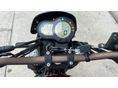 BENELLI LEONCINO 500 2019/3 - 18